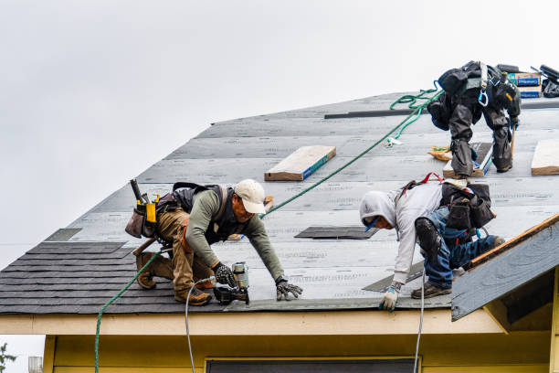 Professional Roof Replacement technician working in Bloomingdale, IN